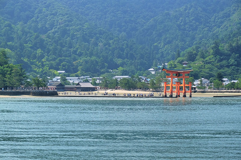 宮島と瀬戸内海と森