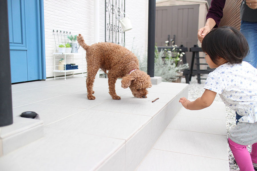 ユダ木工の青い木製玄関ドアと愛犬