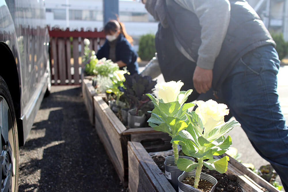 冬の花の寄せ植え