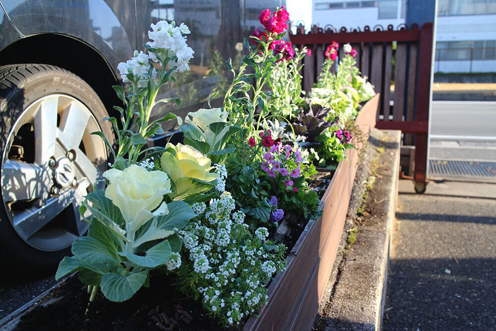 冬の花の寄せ植え