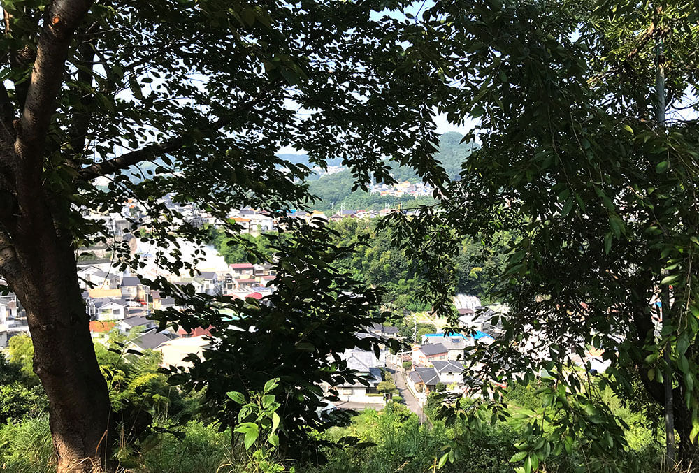 高台の木陰から見下ろす、夏の町の美しい風景。