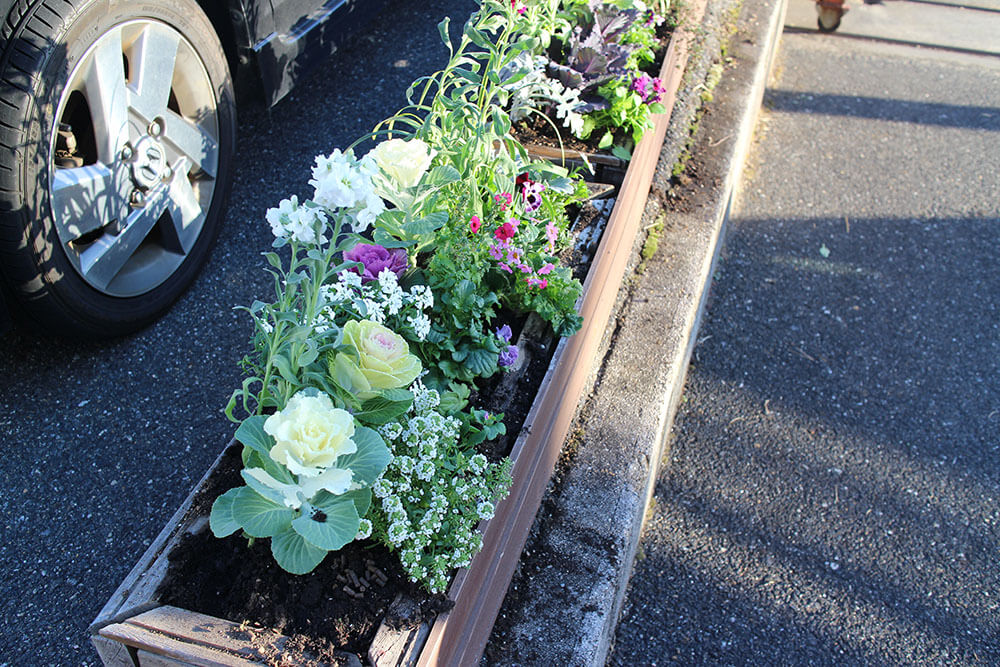 旧木製プランターと冬の寄せ植え