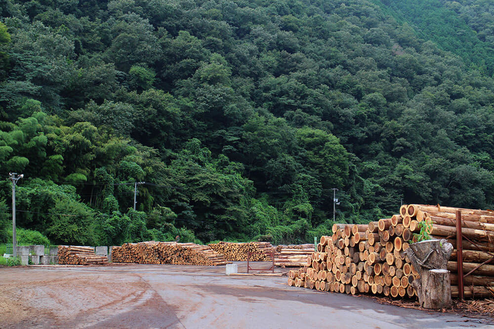 国産材活用。山の風景