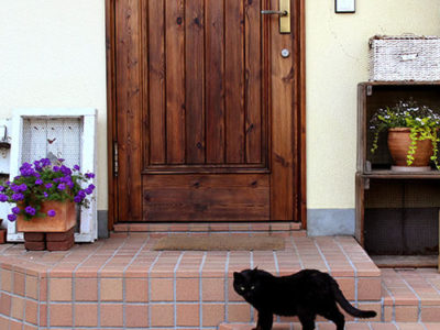 「地域猫」のいる家。18年前の木製玄関ドアを再塗装。