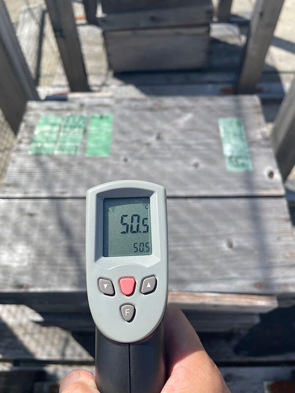 温度計でミツバチの巣箱の表面温度を計測する様子。表面温度は50.5℃と表示されている